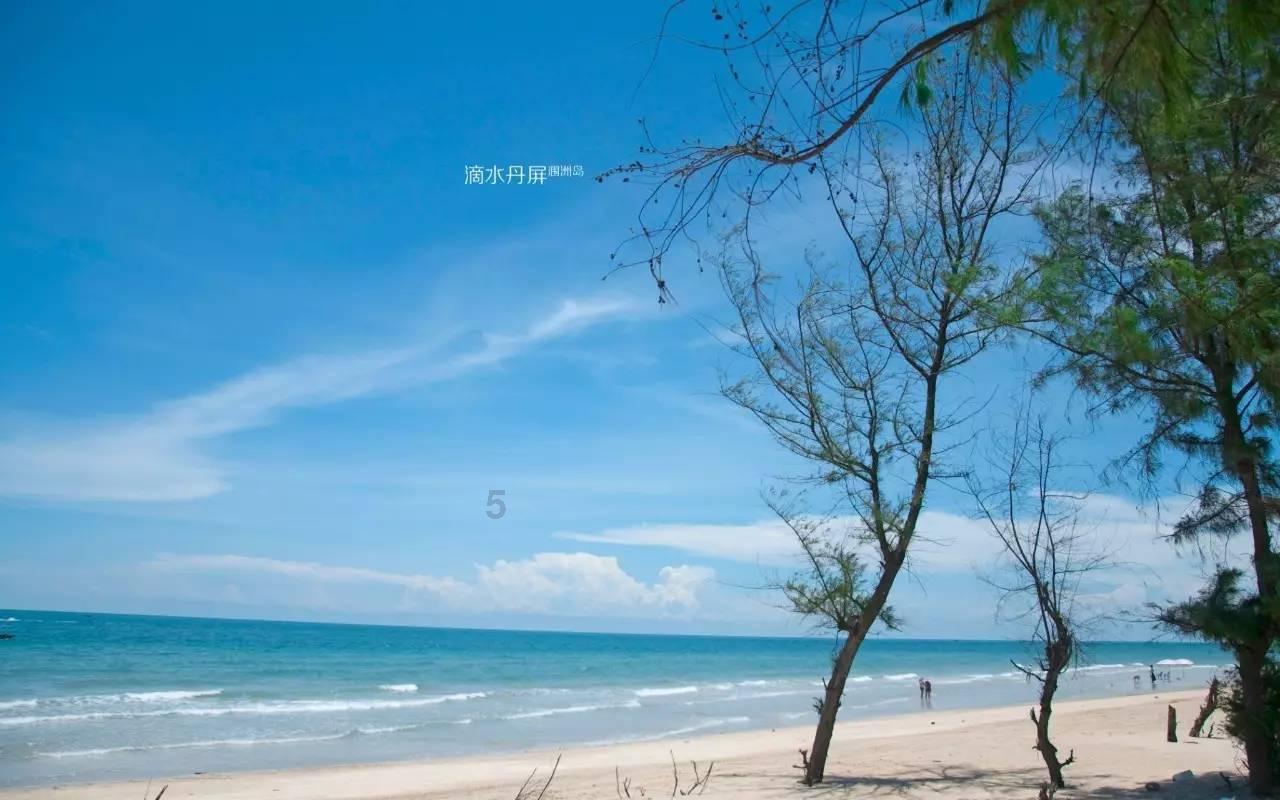 逗小猴开心系列171