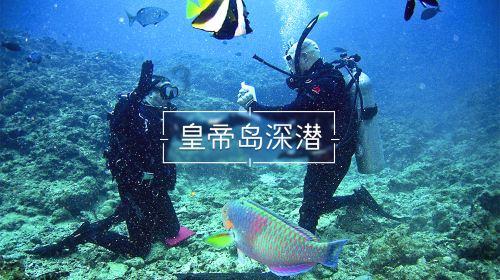 玉米小麦称重打包机 有机肥颗粒定量包装机