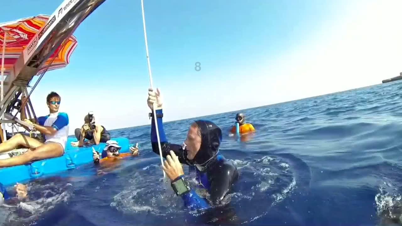 美人鱼游玩
